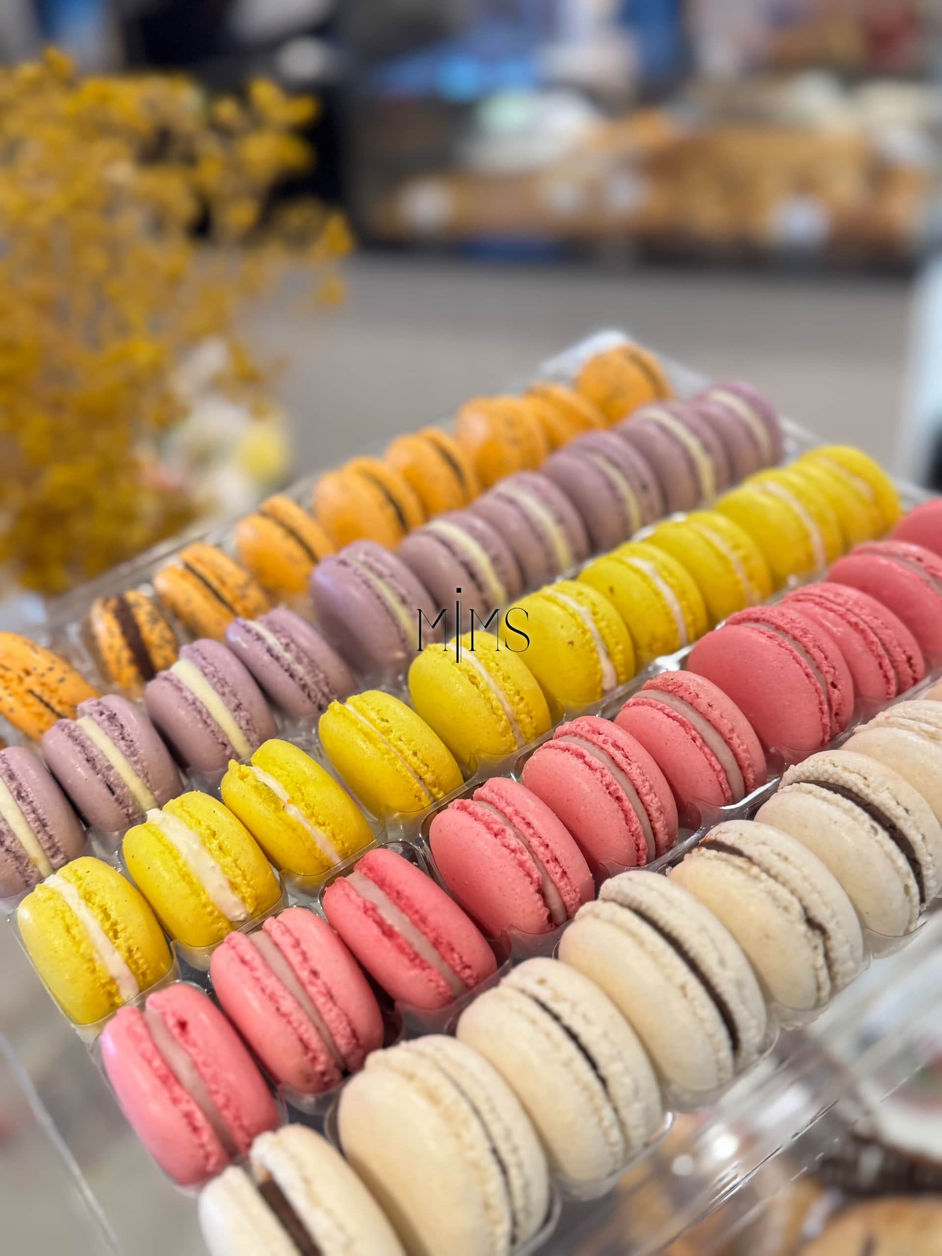 Rangées de macarons colorés en vitrine chez MIMS