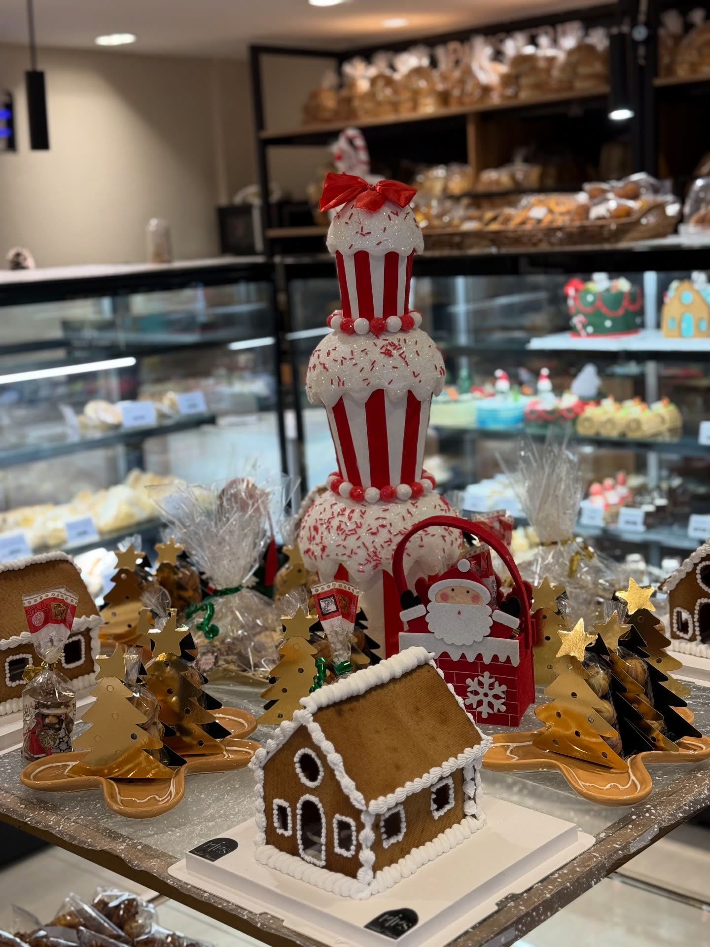 Vitrine de Noël