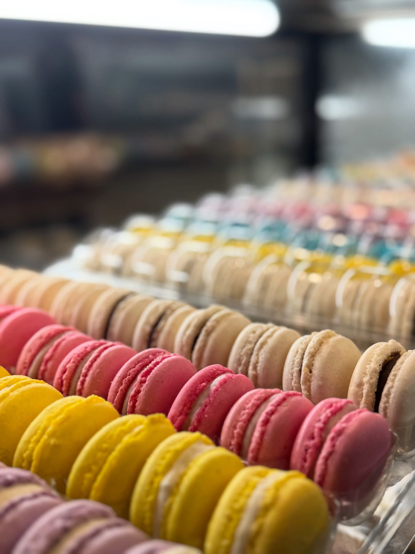 Macarons colorés